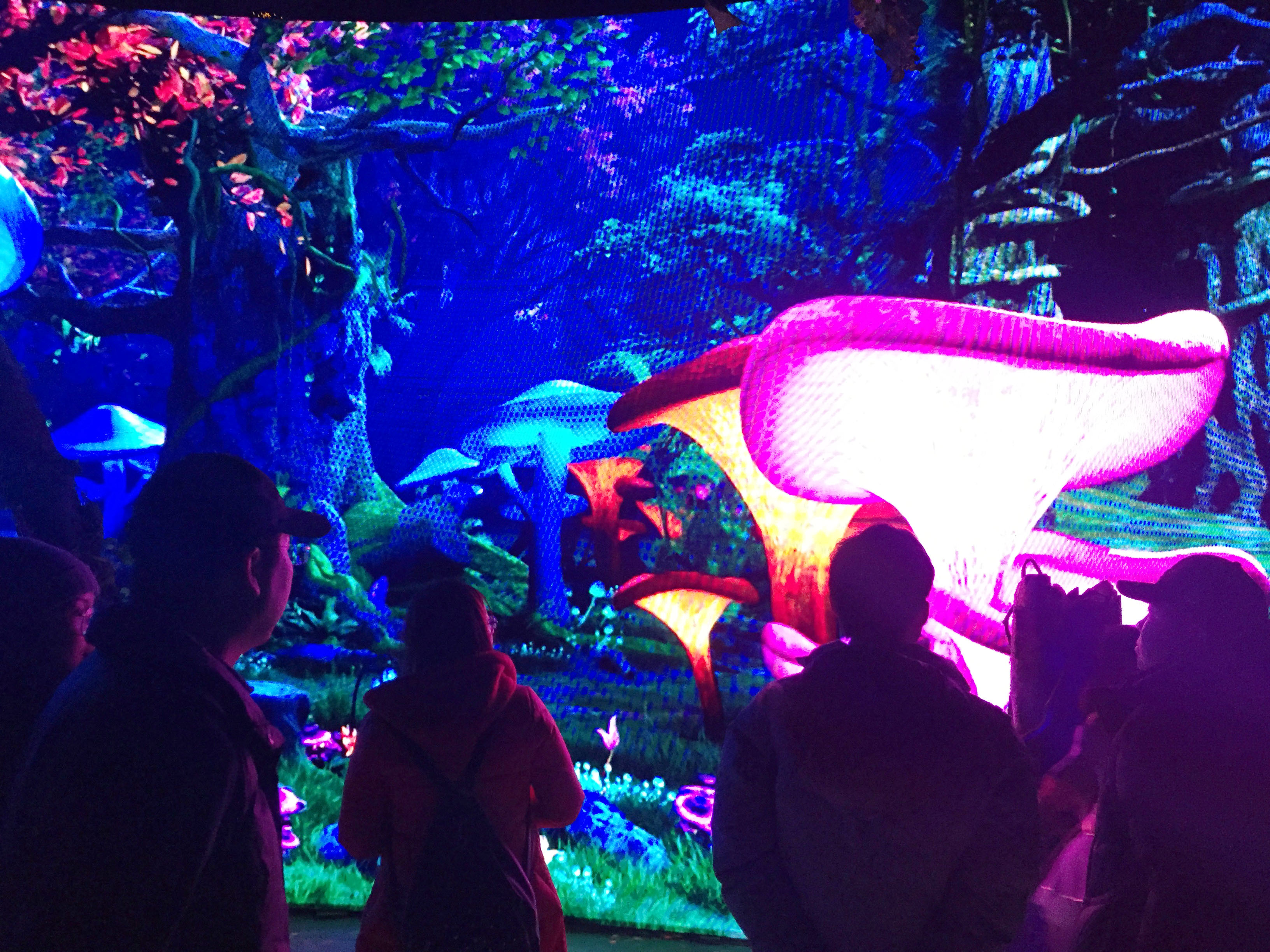 華奧傳媒 精心打造的沉浸式新媒體藝術(shù)劇《綠野仙蹤》內(nèi)部體驗(yàn)順利結(jié)束！